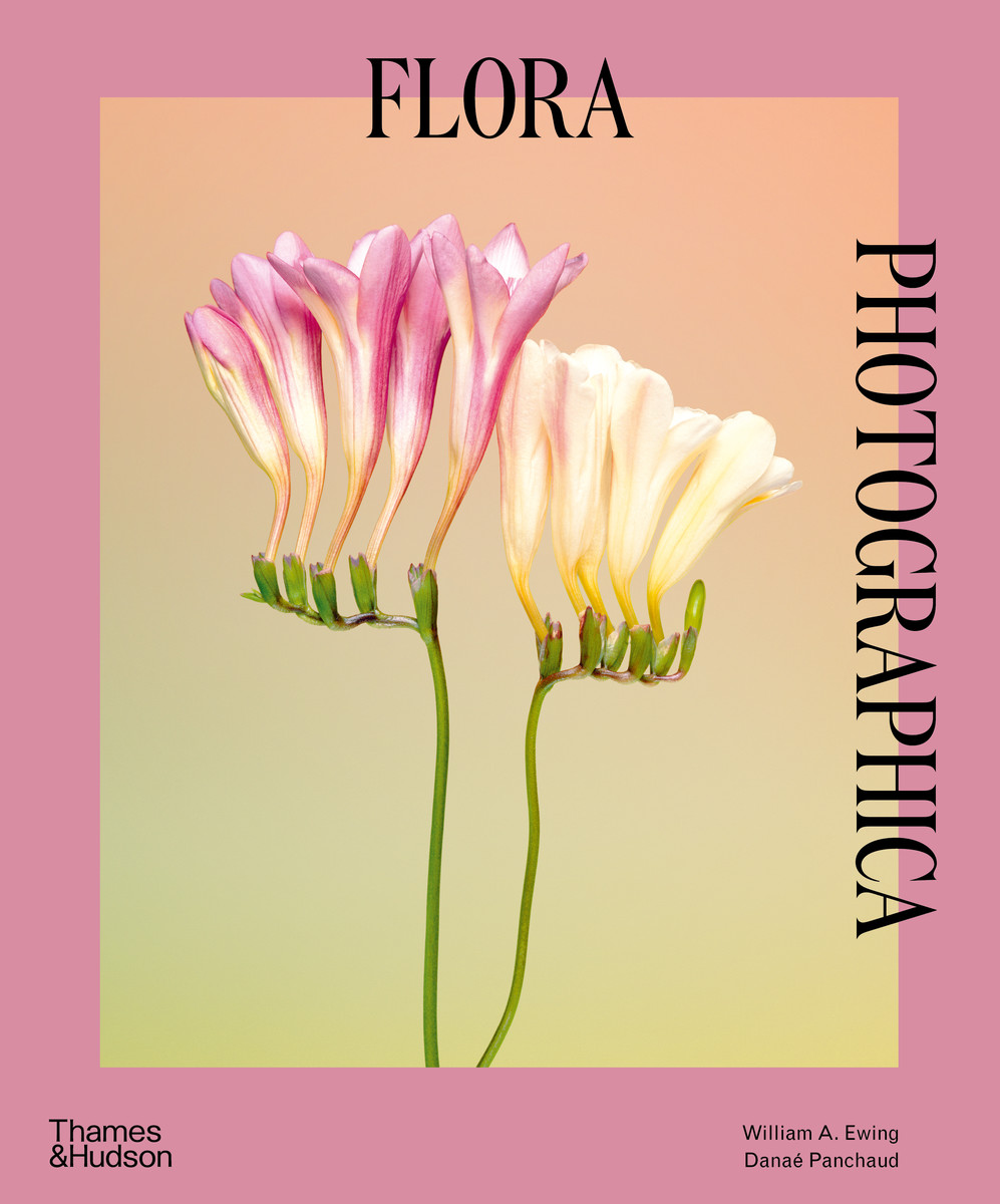 Flora Photographica 
