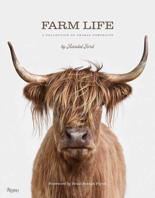 Farm Life A Collection of Animal Portraits