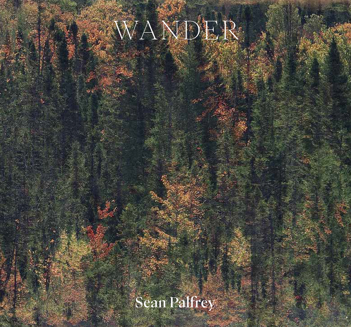 Sean Palfrey: Wander 