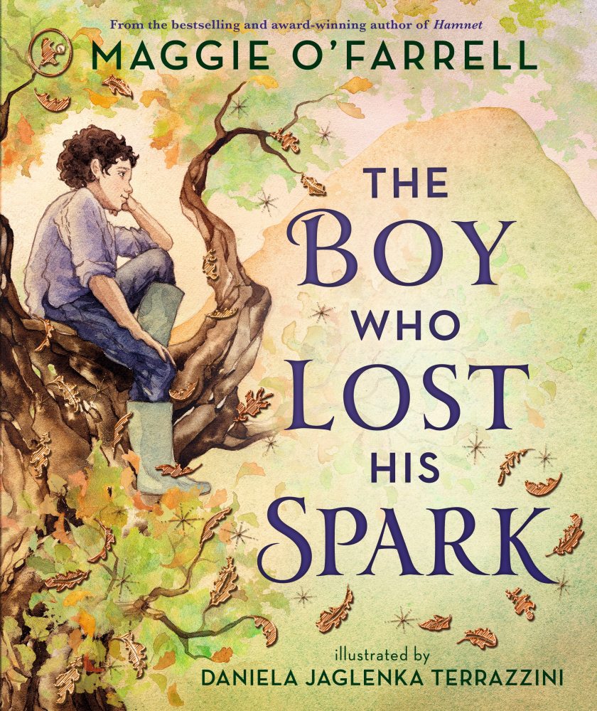 Boy Who Lost His Spark An enchanting modern fairytale for children aged 5+ from the award-winning author of Hamnet, now a major film starring Jessie Buckley and Paul Mescal
