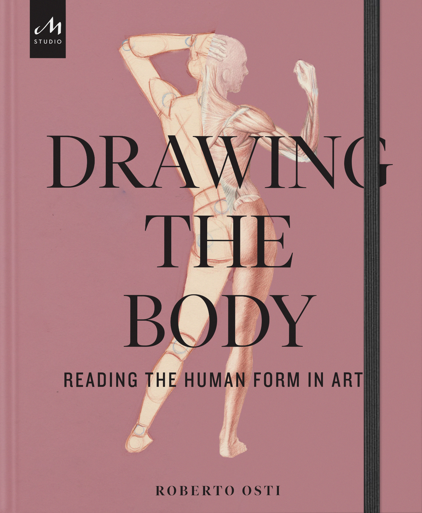 Drawing the Body Reading the Human Form in Art