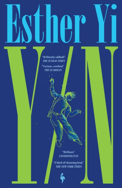 Y/N A novel