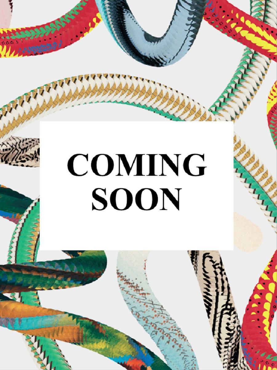 James Baldwin. Steve Schapiro. The Fire Next Time 