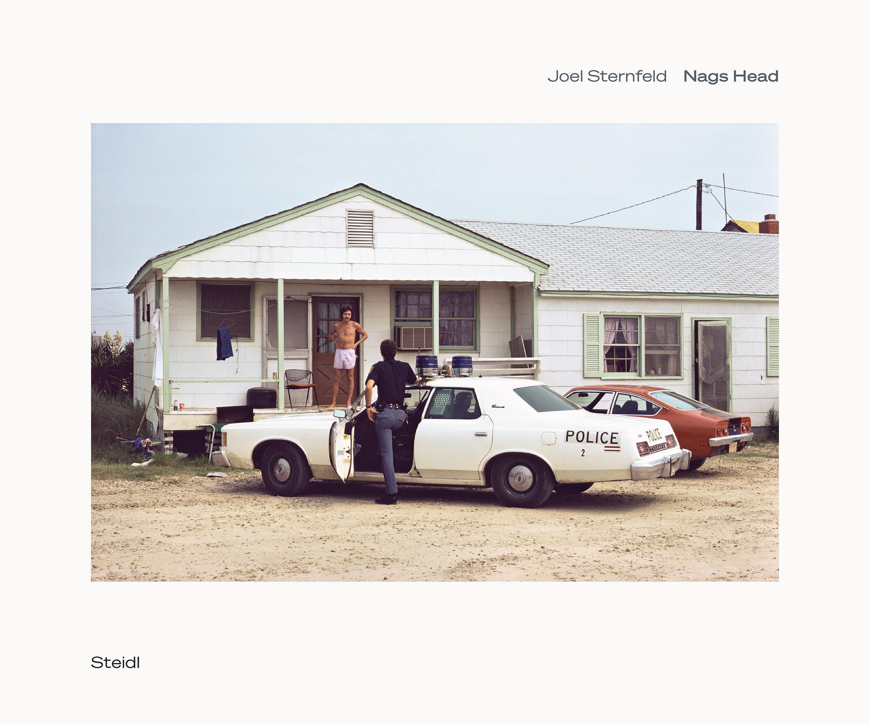 Joel Sternfeld: Nags Head 