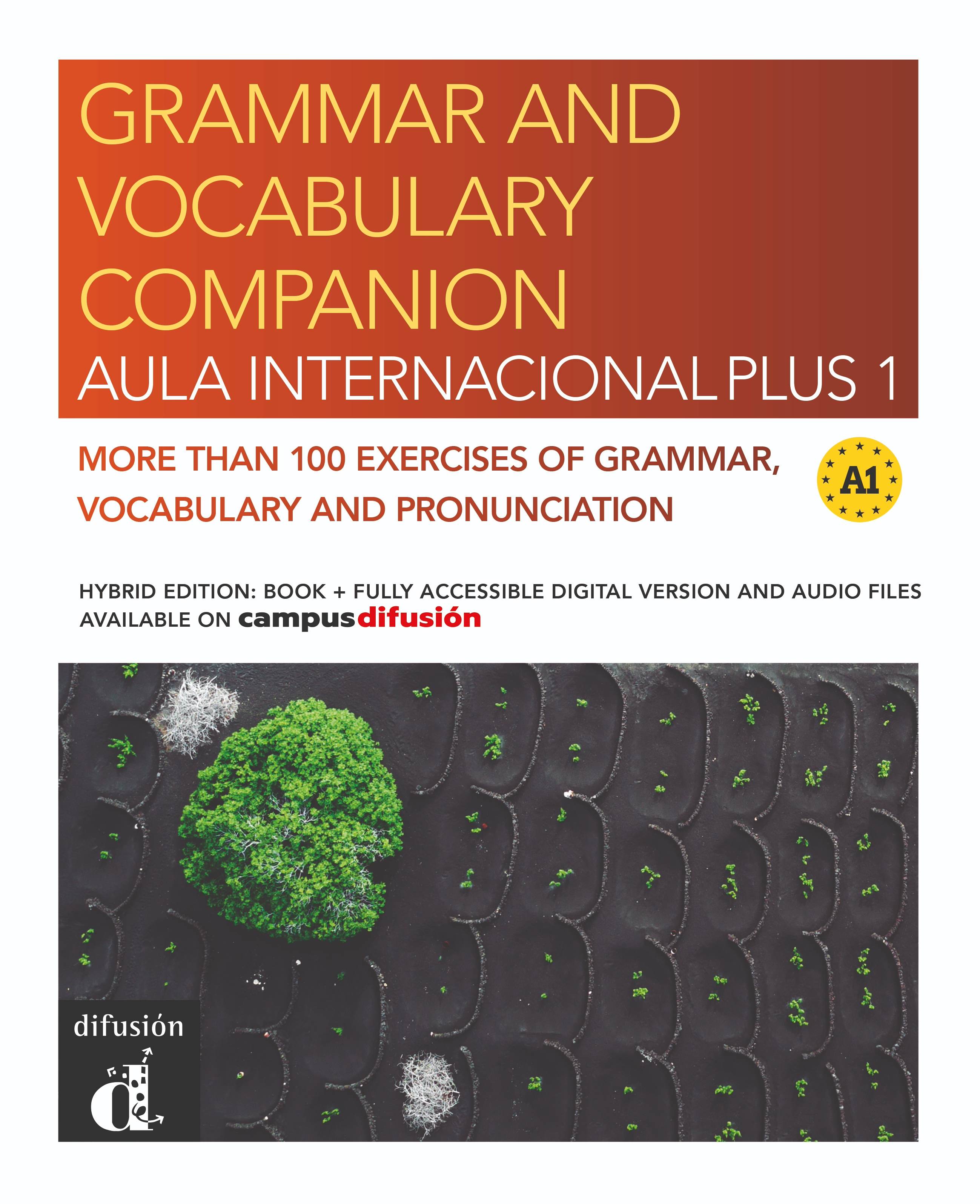 Aula Internacional Plus 1 - Grammar and Vocabulary Companion - Hybrid edition 