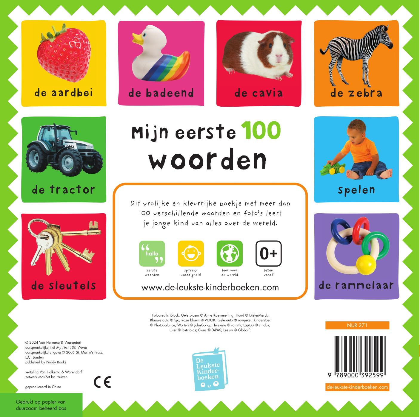 image for Mijn eerste 100 woorden