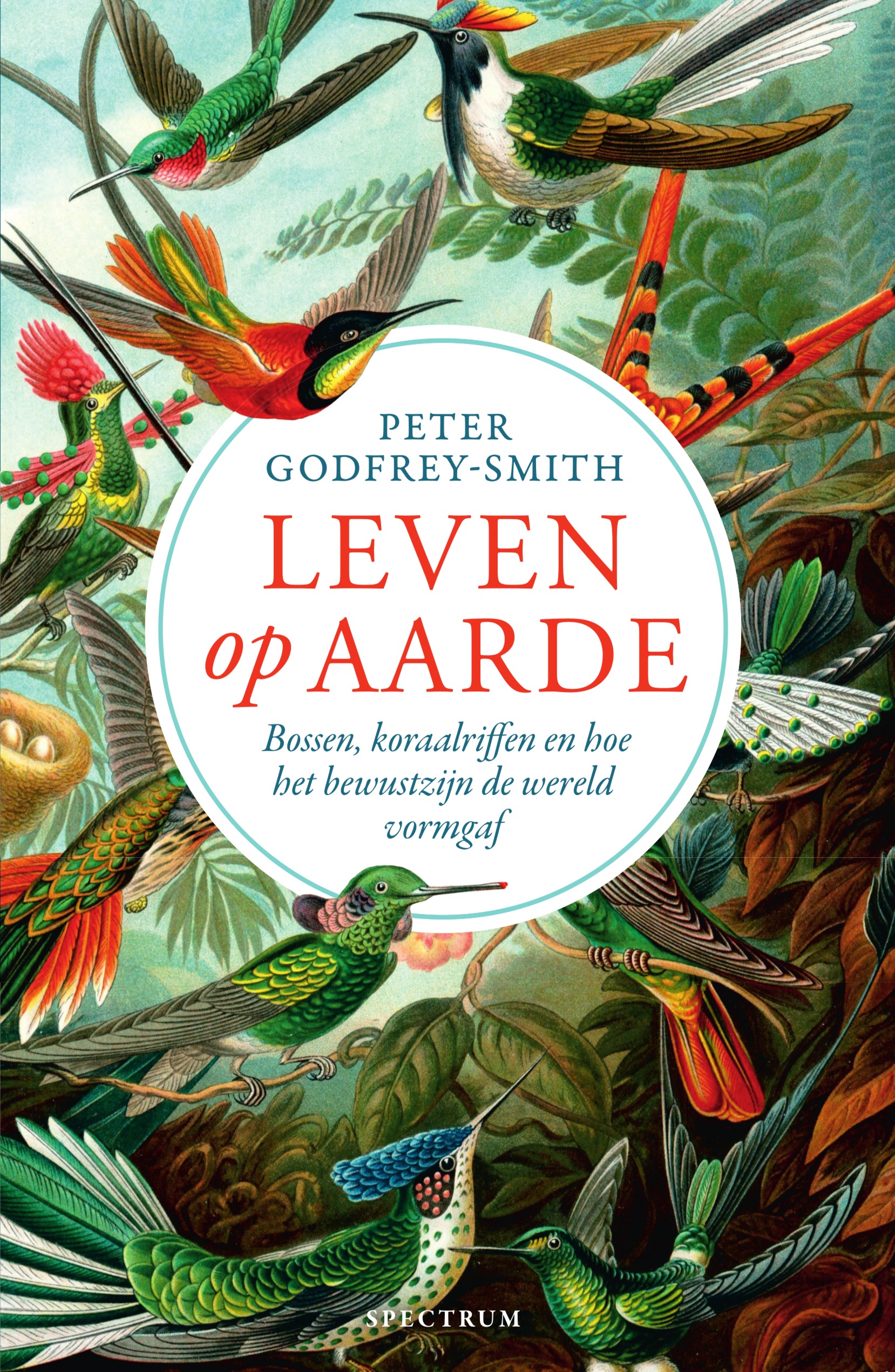 Leven op aarde Bossen, koraalriffen en hoe het bewustzijn de wereld vormgaf