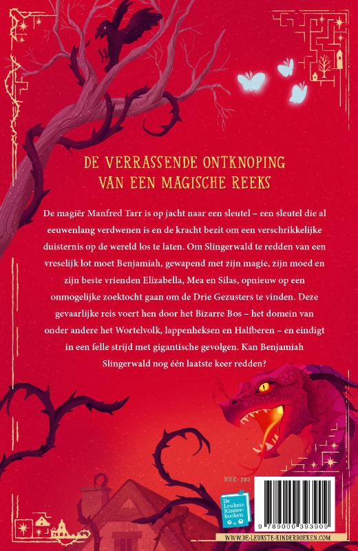 image for De verdwenen sleutel