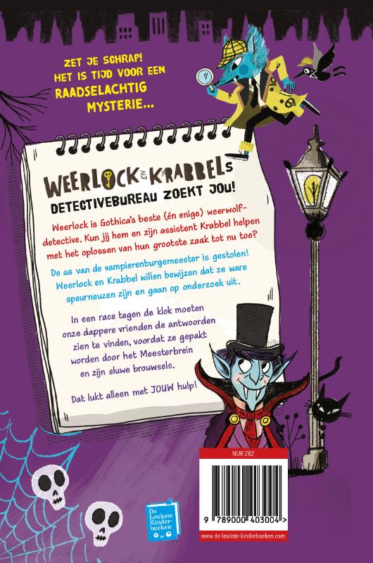 image for Een mysterieus raadsel