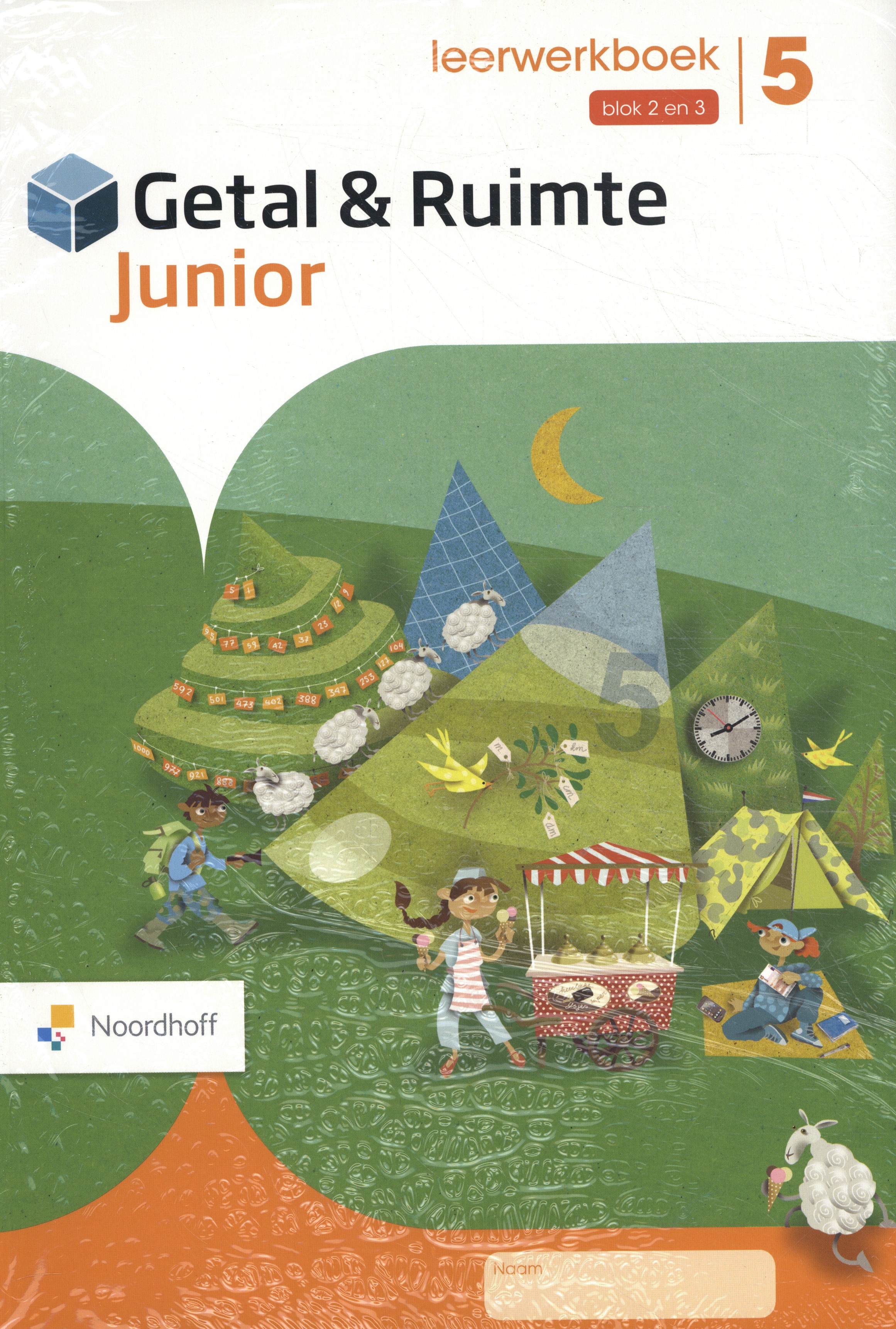 Getal & Ruimte Junior set 5 ex 5 blok 2 en 3 leerwerkboek