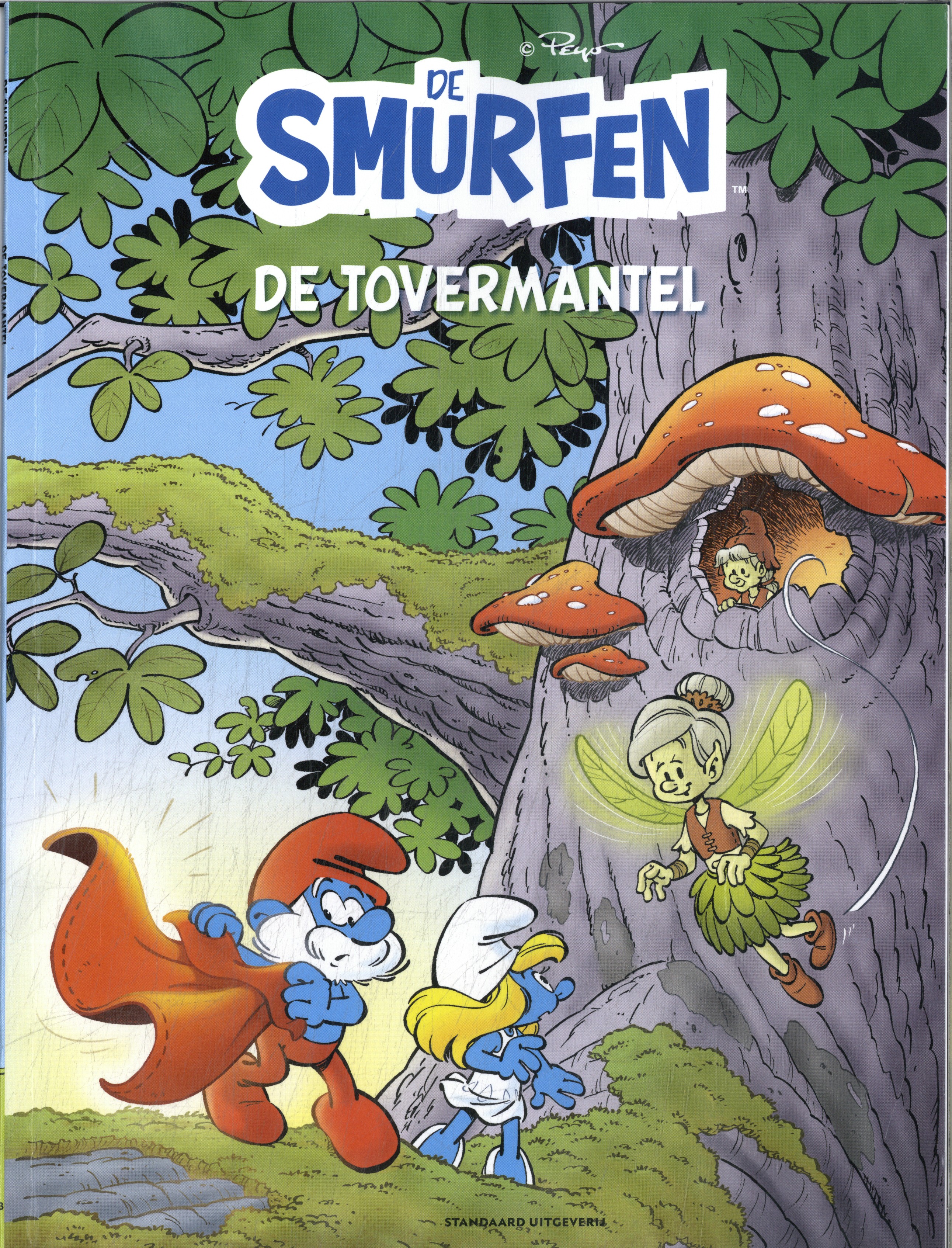 De tovermantel 