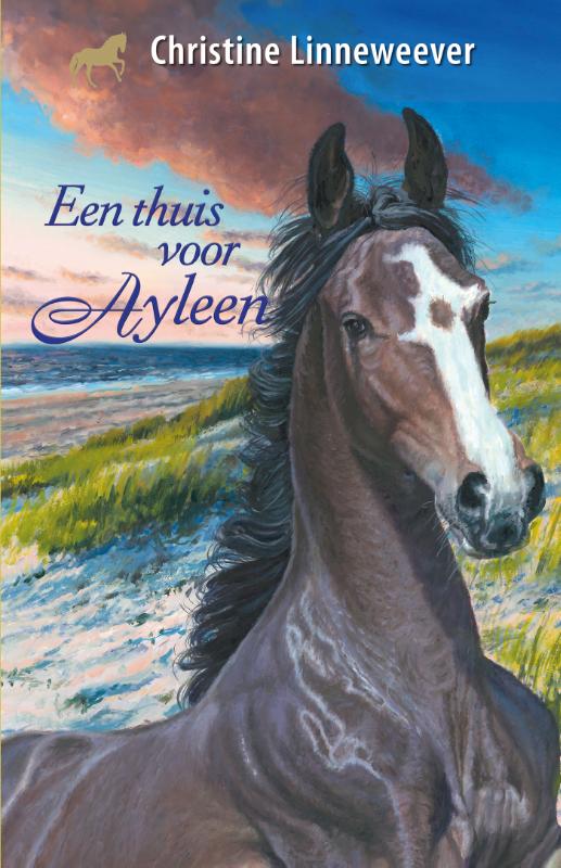 Een thuis voor Ayleen