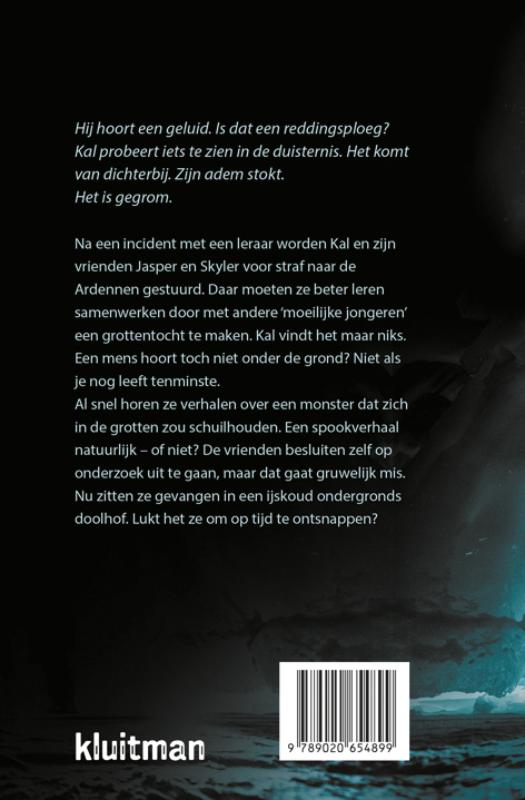 image for IJsnacht