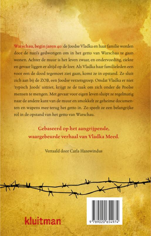 image for Het meisje aan de andere kant van de muur