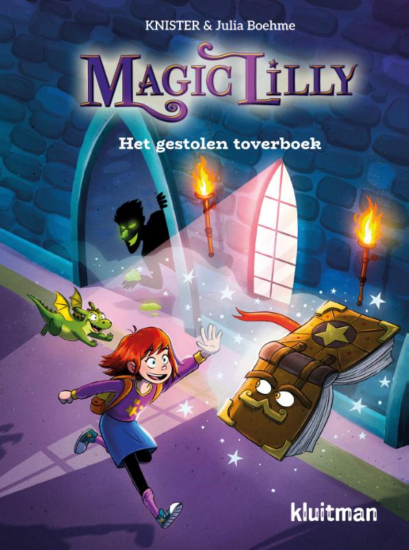 Het gestolen toverboek