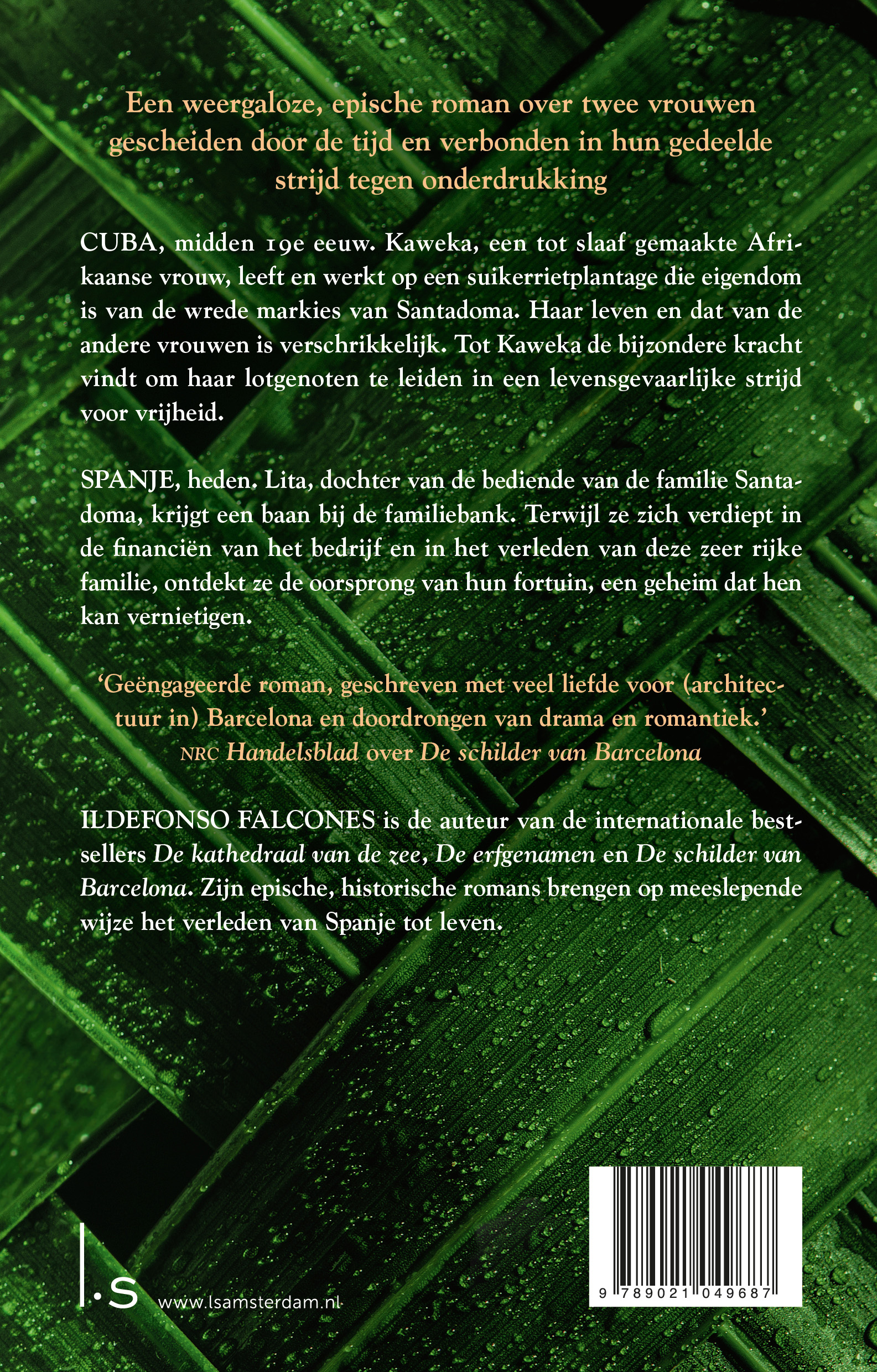 De vrouwen van de suikerrietplantage 