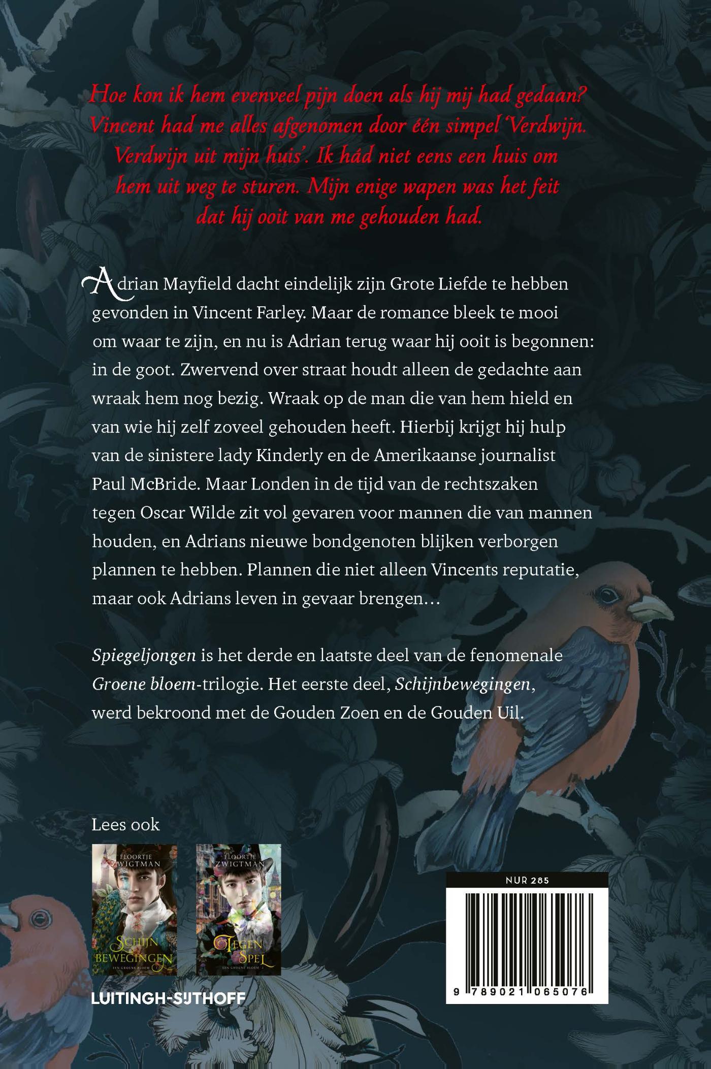 image for Spiegeljongen