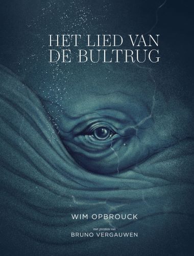 Het lied van de bultrug