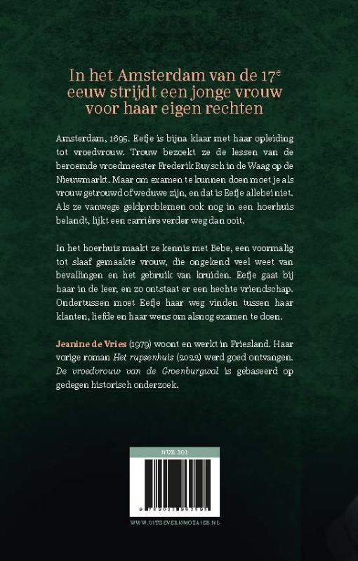 image for De vroedvrouw van de Groenburgwal