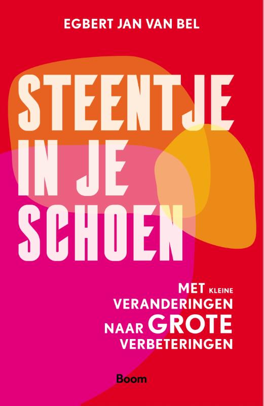 Steentje in je schoen