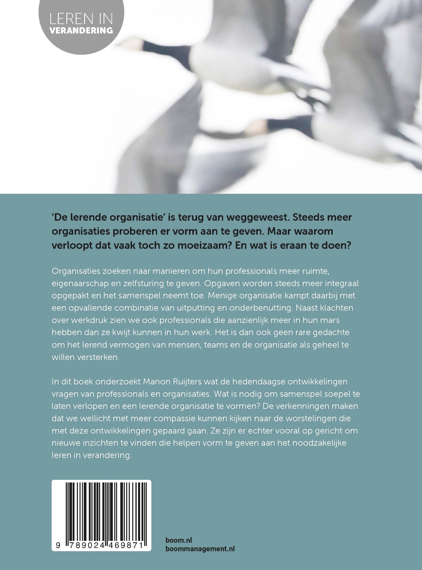 Queeste naar goed werk Over krachtige professionals in een lerende organisatie