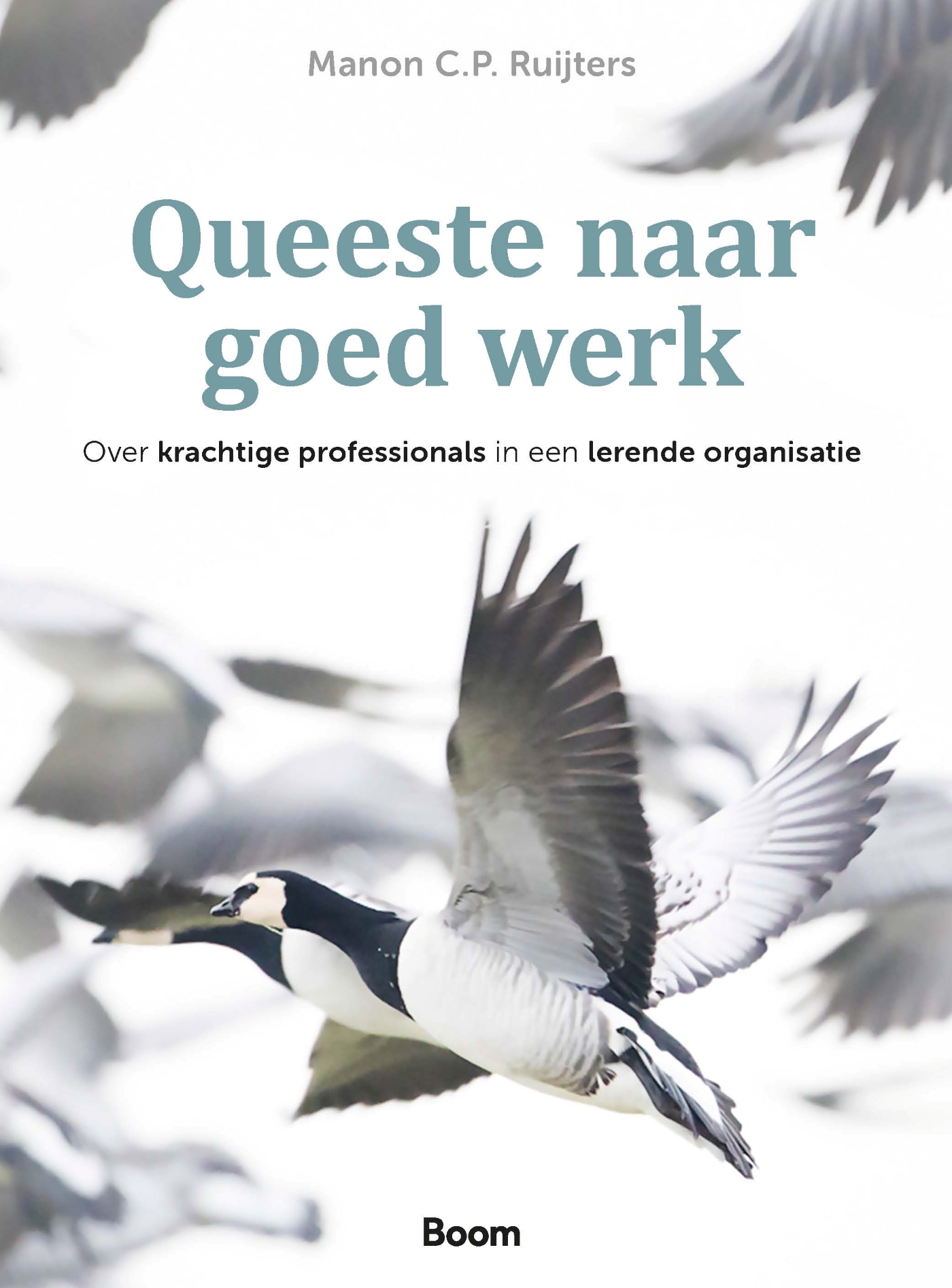 Queeste naar goed werk Over krachtige professionals in een lerende organisatie