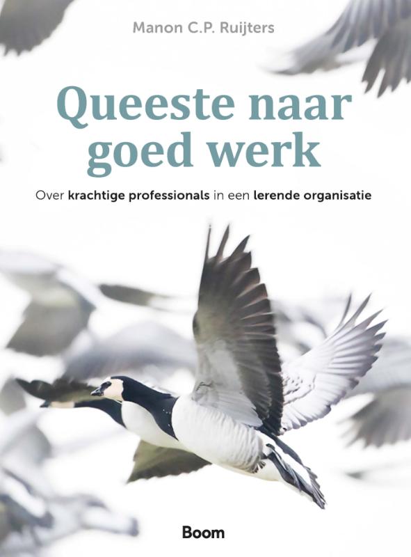 Queeste naar goed werk