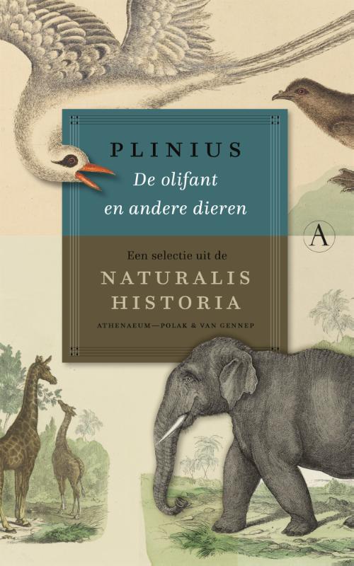 De olifant en andere dieren