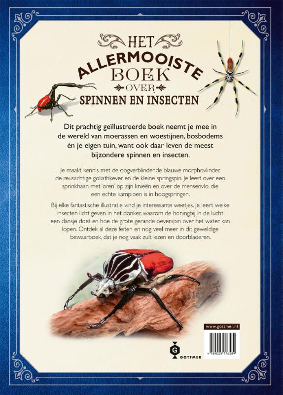 image for Het allermooiste boek over spinnen en insecten
