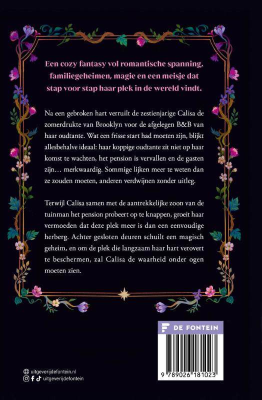 image for The Faraway Inn