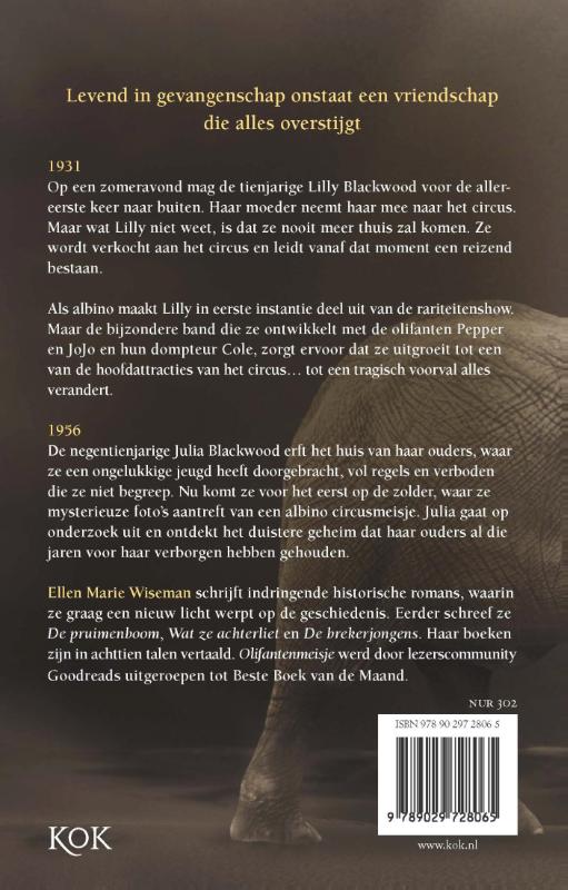 image for Olifantenmeisje
