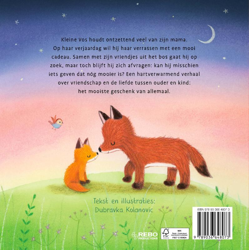 image for Het mooiste cadeau ooit