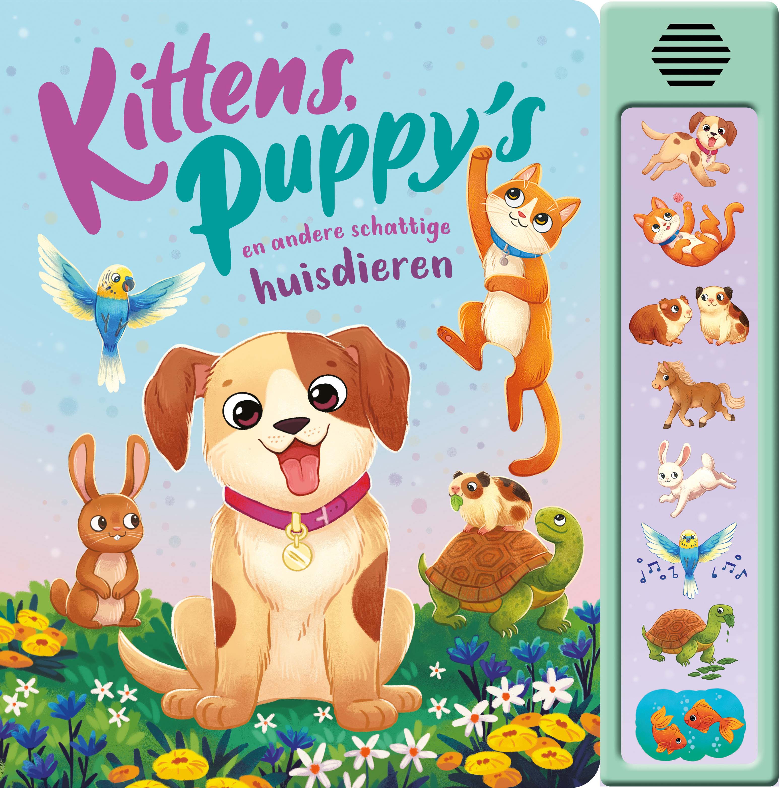 Kittens, puppy 's en andere schattige huisdieren 