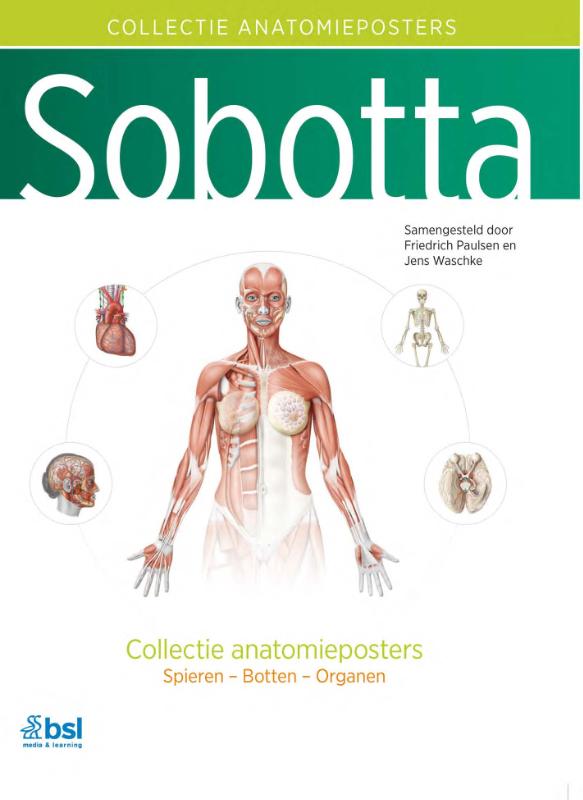 Sobotta - Collectie anatomieposters