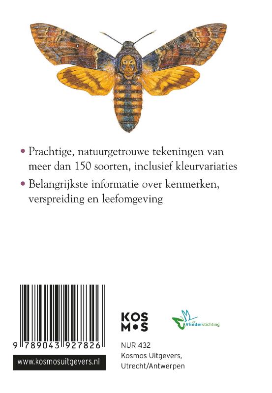 image for Compactgids Vlinders