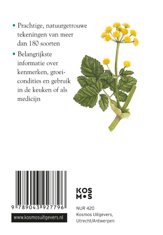 image for Compactgids Kruiden