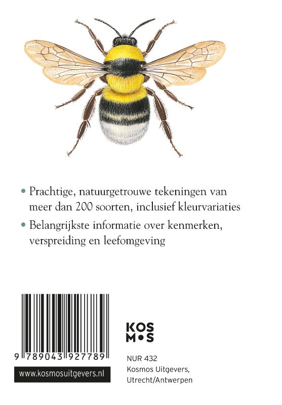image for Compactgids Insecten