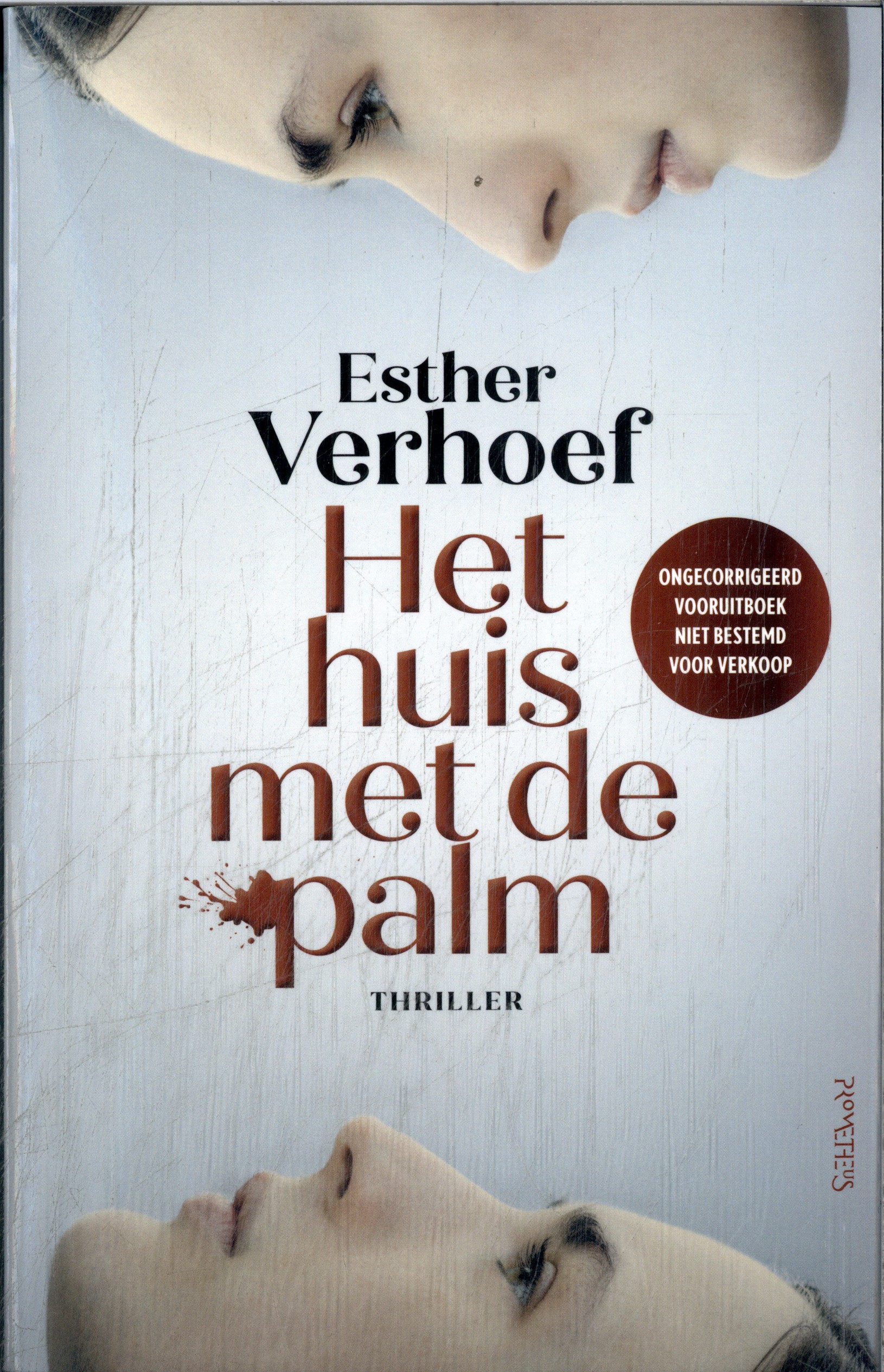 Het huis met de palm vooruitboek 