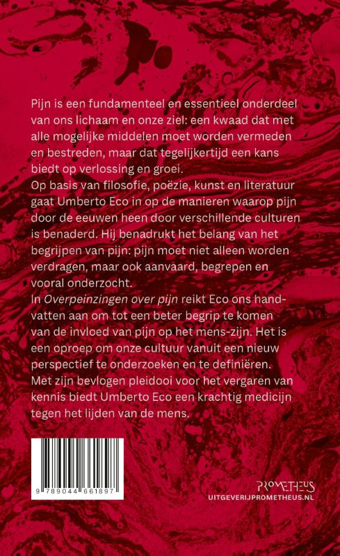 image for Overpeinzingen over pijn
