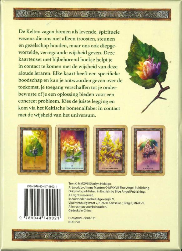 image for Het orakel van de Keltische bomen