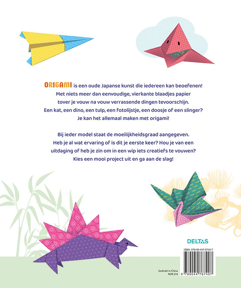 Stap voor stap Origami 