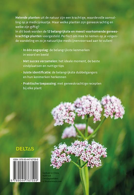 image for Geneeskrachtige planten herkennen en gebruiken