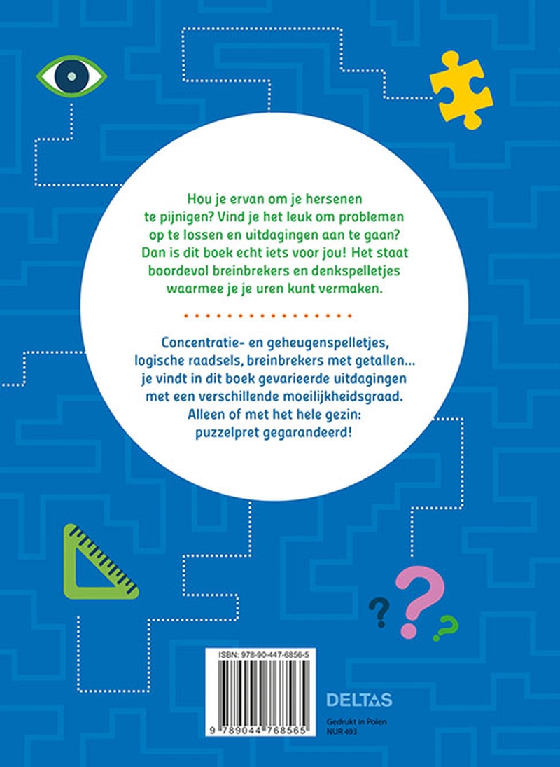 Het grote breinbrekers en denkspelletjes boek 