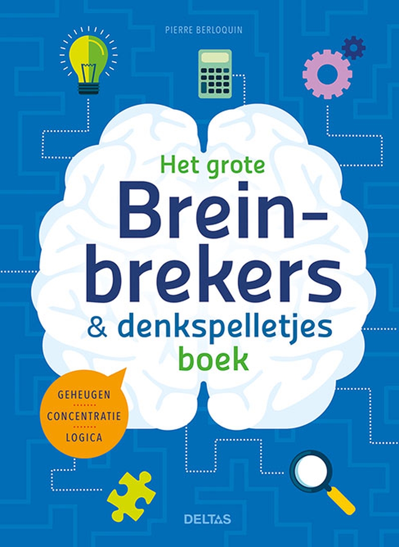 Het grote breinbrekers en denkspelletjes boek 