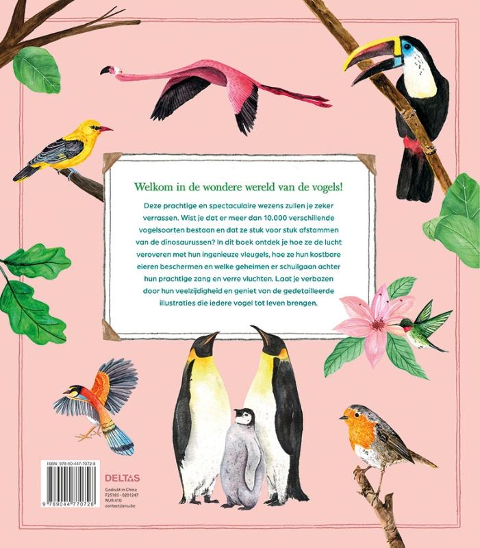 image for De wondere wereld van de vogels