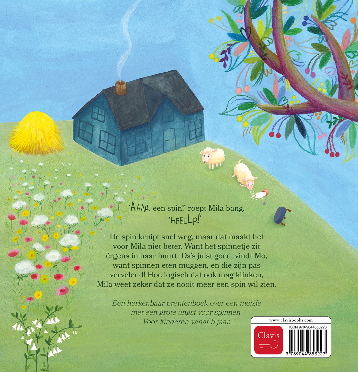 Het ieniemieniespinnetje 