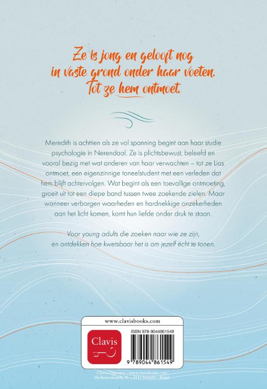 image for Het meeuwenlied