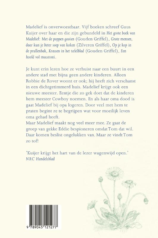 image for Het grote boek van Madelief
