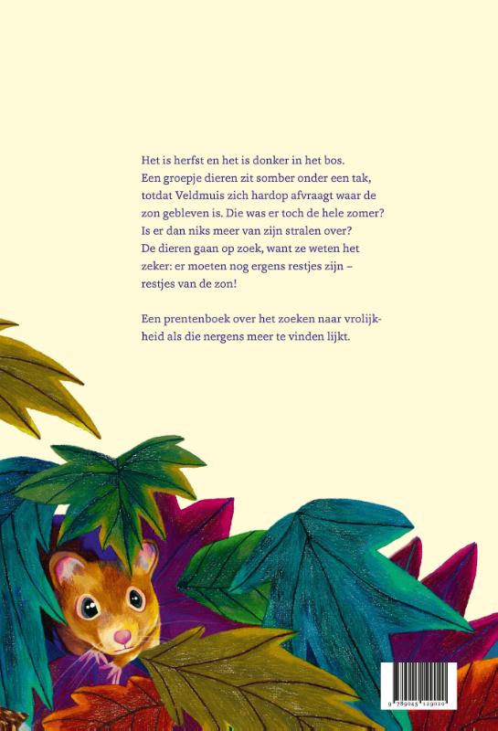 image for De restjes van de zon