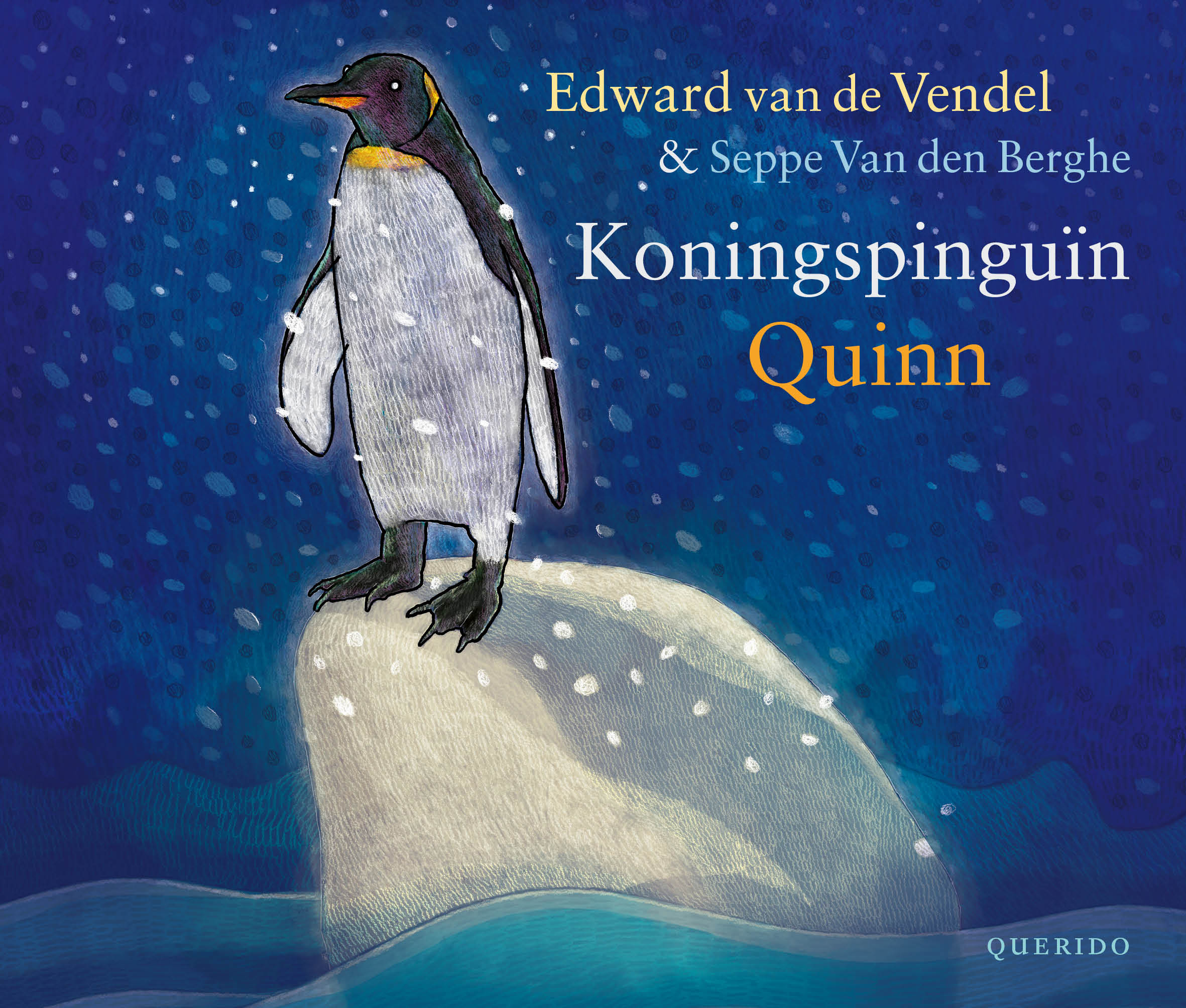 Koningspinguïn Quinn 